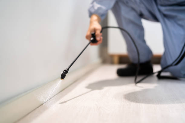 Licensed Emergency Pest Control service in Sonoma State University, CA - Nex Pest Control