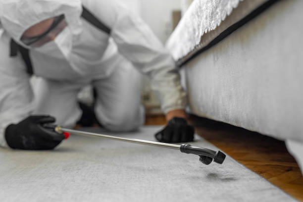 Professional Emergency Pest Control technician working in Sonoma State University, CA