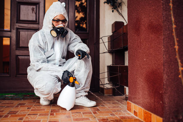 Reliable Emergency Pest Control contractor in Sonoma State University, CA by Nex Pest Control